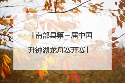南部县第三届中国升钟湖龙舟赛开赛