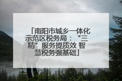 南阳市城乡一体化示范区税务局：“三精”服务提质效 智慧税务强基础