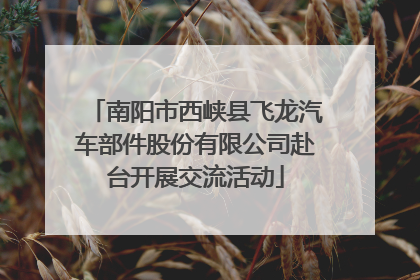 南阳市西峡县飞龙汽车部件股份有限公司赴台开展交流活动