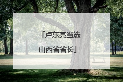 卢东亮当选山西省省长