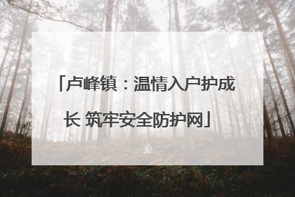 卢峰镇：温情入户护成长 筑牢安全防护网