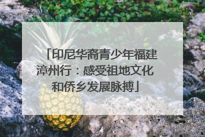 印尼华裔青少年福建漳州行：感受祖地文化和侨乡发展脉搏