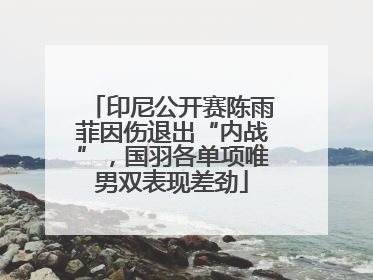 印尼公开赛陈雨菲因伤退出“内战”，国羽各单项唯男双表现差劲