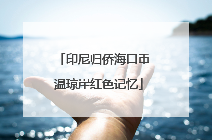 印尼归侨海口重温琼崖红色记忆