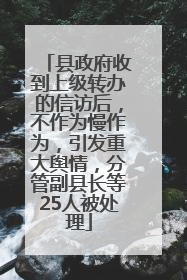 县政府收到上级转办的信访后，不作为慢作为，引发重大舆情，分管副县长等25人被处理