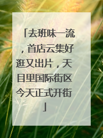 去班味一流，首店云集好逛又出片，天目里国际街区今天正式开街