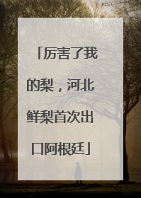 厉害了我的梨，河北鲜梨首次出口阿根廷