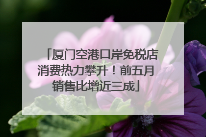 厦门空港口岸免税店消费热力攀升！前五月销售比增近三成