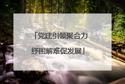 党建引领聚合力 纾困解难促发展