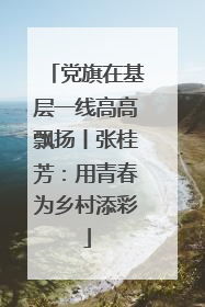 党旗在基层一线高高飘扬丨张桂芳：用青春为乡村添彩