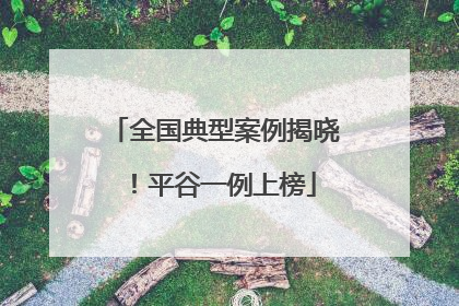 全国典型案例揭晓！平谷一例上榜
