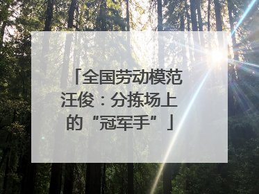 全国劳动模范汪俊:分拣场上的“冠军手”