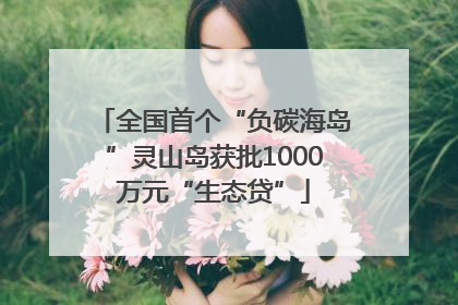 全国首个“负碳海岛”灵山岛获批1000万元“生态贷”