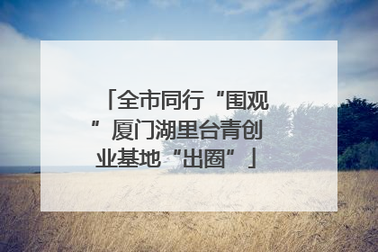 全市同行“围观”厦门湖里台青创业基地“出圈”