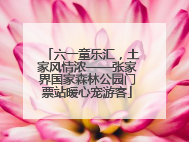 六一童乐汇，土家风情浓——张家界国家森林公园门票站暖心宠游客