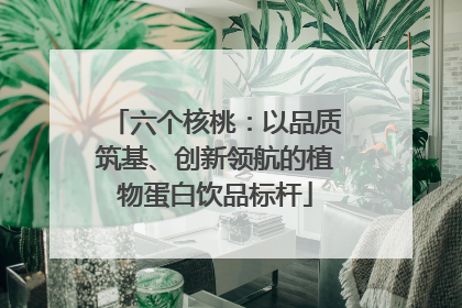六个核桃：以品质筑基、创新领航的植物蛋白饮品标杆