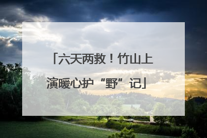 六天两救！竹山上演暖心护“野”记