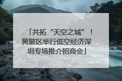 共拓“天空之城”！黄陂区举行低空经济深圳专场推介招商会