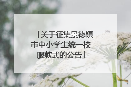 关于征集景德镇市中小学生统一校服款式的公告