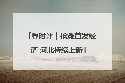 冀时评｜抢滩首发经济 河北持续上新