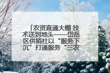 农资直通大棚 技术送到地头——岱岳区供销社以“服务下沉”打通服务“三农”最后一公里