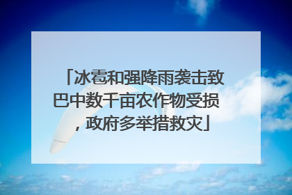 冰雹和强降雨袭击致巴中数千亩农作物受损，政府多举措救灾