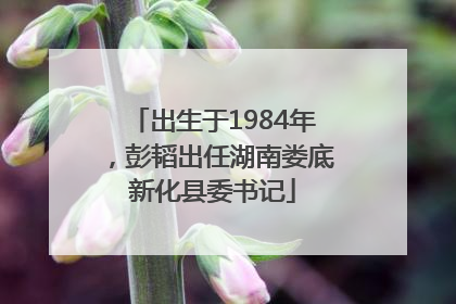 出生于1984年，彭韬出任湖南娄底新化县委书记