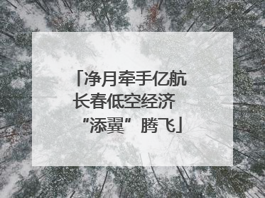 净月牵手亿航 长春低空经济“添翼”腾飞