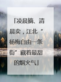 凌晨摘、清晨卖，江北“杨梅自由一条街”藏着最甜的烟火气
