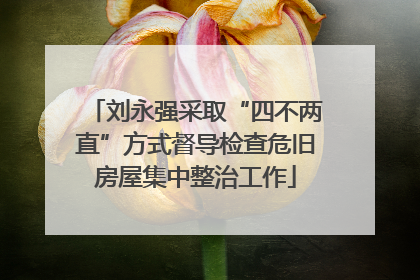 刘永强采取“四不两直”方式督导检查危旧房屋集中整治工作