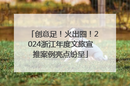 创意足！火出圈！2024浙江年度文旅宣推案例亮点纷呈