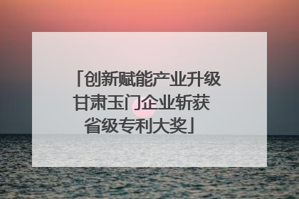 创新赋能产业升级 甘肃玉门企业斩获省级专利大奖