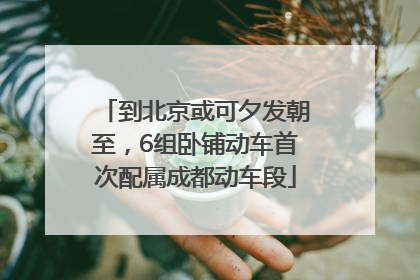 到北京或可夕发朝至，6组卧铺动车首次配属成都动车段
