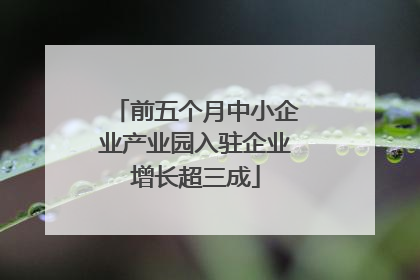 前五个月中小企业产业园入驻企业增长超三成