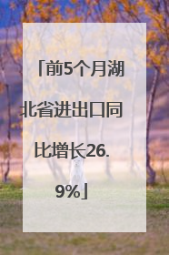 前5个月湖北省进出口同比增长26.9%