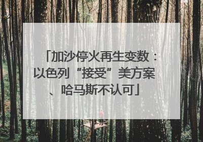 加沙停火再生变数：以色列“接受”美方案、哈马斯不认可