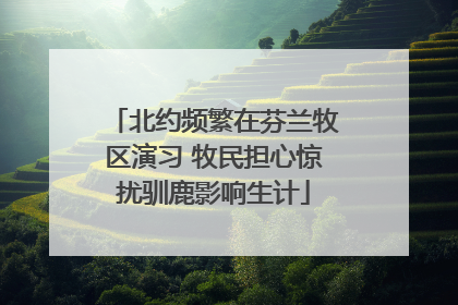 北约频繁在芬兰牧区演习 牧民担心惊扰驯鹿影响生计