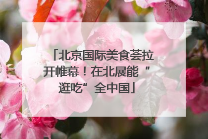 北京国际美食荟拉开帷幕！在北展能“逛吃”全中国
