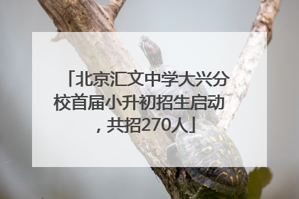 北京汇文中学大兴分校首届小升初招生启动，共招270人