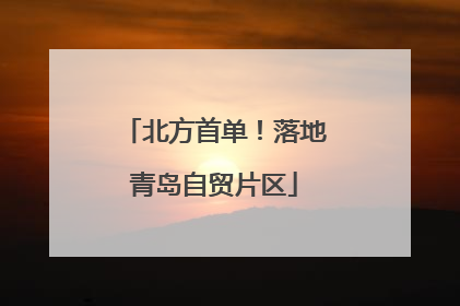 北方首单！落地青岛自贸片区