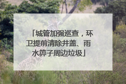 城管加强巡查，环卫提前清除井盖、雨水箅子周边垃圾