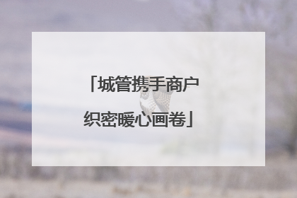 城管携手商户 织密暖心画卷