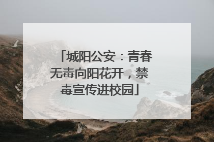城阳公安：青春无毒向阳花开，禁毒宣传进校园