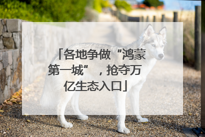 各地争做“鸿蒙第一城”，抢夺万亿生态入口