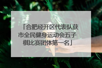 合肥经开区代表队获市全民健身运动会五子棋比赛团体第一名