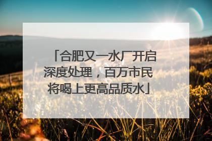 合肥又一水厂开启深度处理，百万市民将喝上更高品质水
