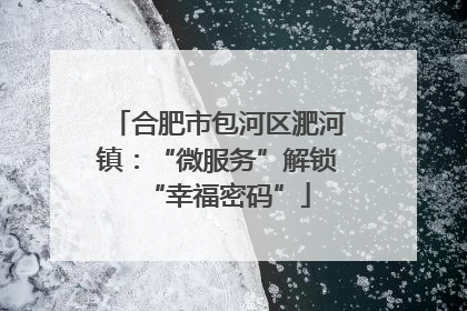 合肥市包河区淝河镇：“微服务”解锁“幸福密码”