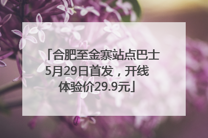 合肥至金寨站点巴士5月29日首发，开线体验价29.9元