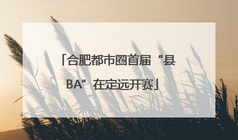 合肥都市圈首届“县BA”在定远开赛
