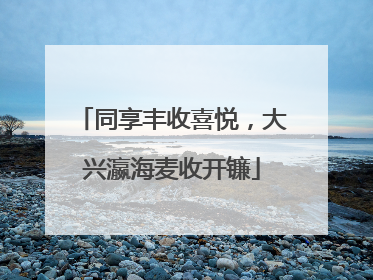 同享丰收喜悦，大兴瀛海麦收开镰